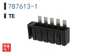 787613-1