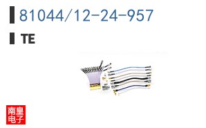 81044/12-24-957
