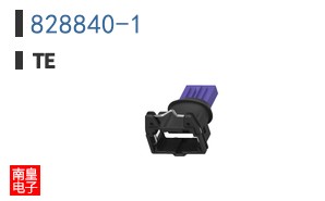 828840-1