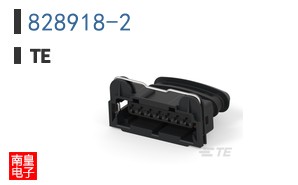 828918-2