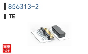 856313-2