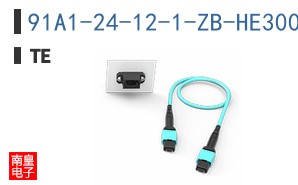 91A1-24-12-1-ZB-HE300