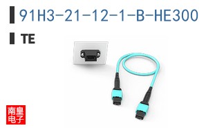 91H3-21-12-1-B-HE300