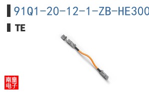 91Q1-20-12-1-ZB-HE300