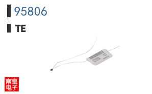 95806