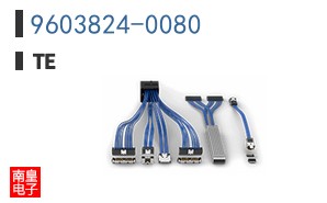 9603824-0080