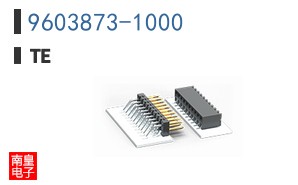 9603873-1000