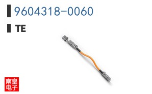 9604318-0060