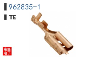 962835-1