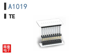 A1019