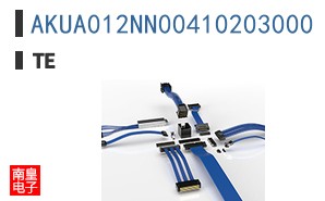 AKUA012NN00410203000
