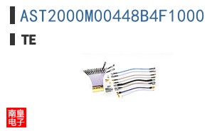 AST2000M00448B4F1000