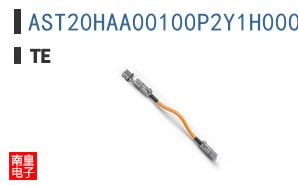 AST20HAA00100P2Y1H000