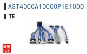 AST4000A10000P1E1000