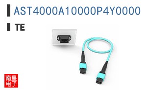 AST4000A10000P4Y0000