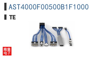 AST4000F00500B1F1000