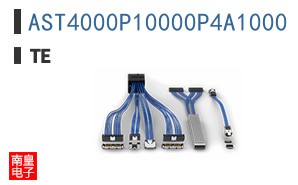 AST4000P10000P4A1000
