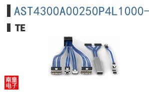 AST4300A00250P4L1000-SS