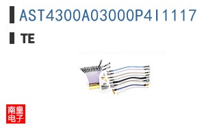 AST4300A03000P4I1117