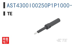 AST4300I00250P1P1000-SS