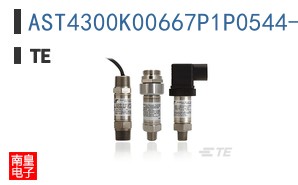 AST4300K00667P1P0544-SS