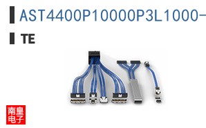 AST4400P10000P3L1000-SS