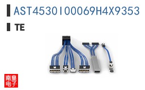AST4530I00069H4X9353