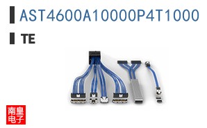 AST4600A10000P4T1000