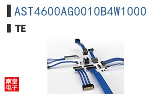 AST4600AG0010B4W1000