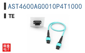 AST4600AG0010P4T1000