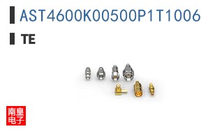 AST4600K00500P1T1006