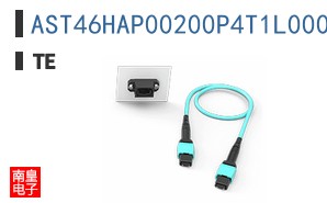 AST46HAP00200P4T1L000
