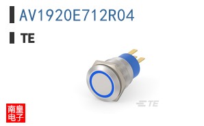 AV1920E712R04