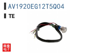 AV1920EG12T5Q04