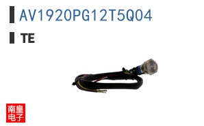 AV1920PG12T5Q04