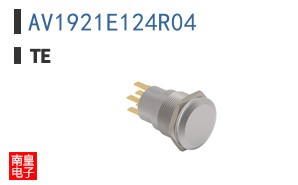 AV1921E124R04