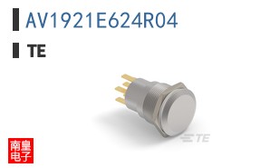 AV1921E624R04