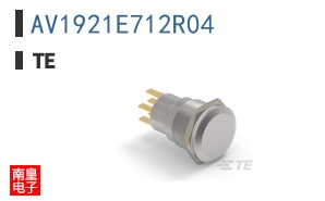 AV1921E712R04
