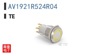 AV1921R524R04