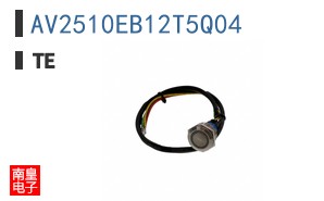 AV2510EB12T5Q04