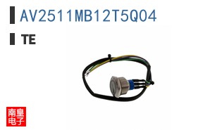 AV2511MB12T5Q04