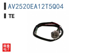 AV2520EA12T5Q04