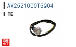 AV2521000T5Q04