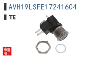 AVH19LSFE17241604