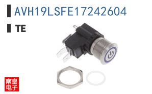 AVH19LSFE17242604