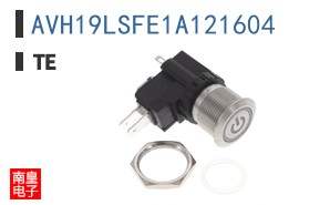 AVH19LSFE1A121604