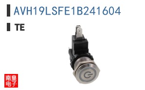 AVH19LSFE1B241604