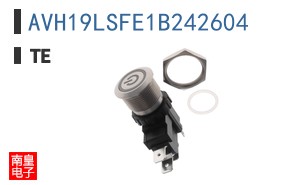 AVH19LSFE1B242604