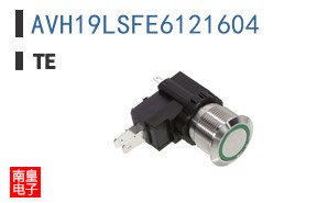 AVH19LSFE6121604