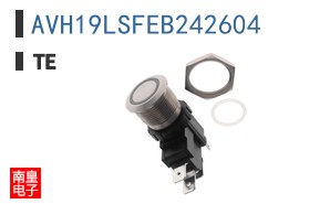 AVH19LSFEB242604